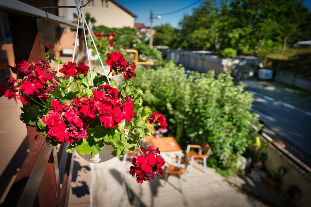 Vila Victoria Râmnicu Vâlcea Eksteriør bilde