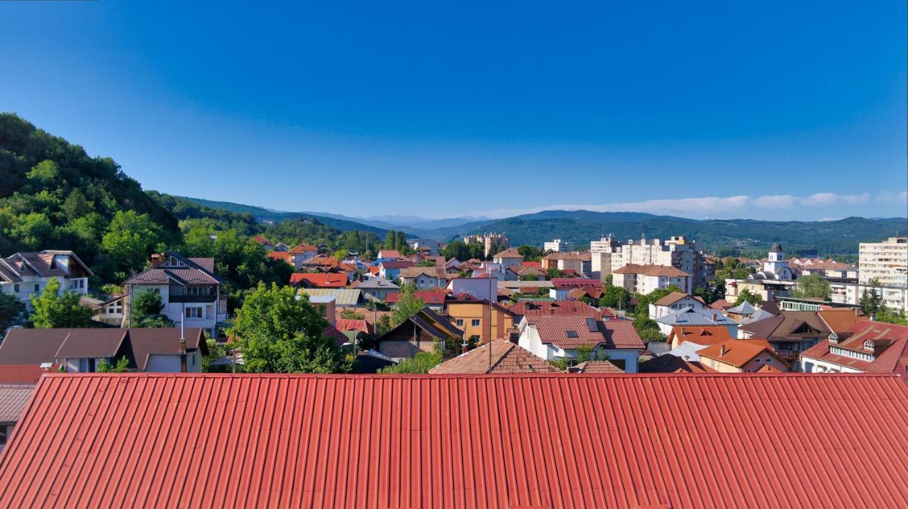 Vila Victoria Râmnicu Vâlcea Eksteriør bilde