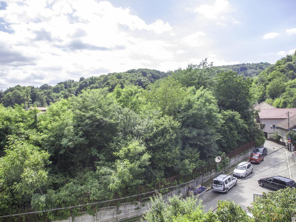 Vila Victoria Râmnicu Vâlcea Eksteriør bilde