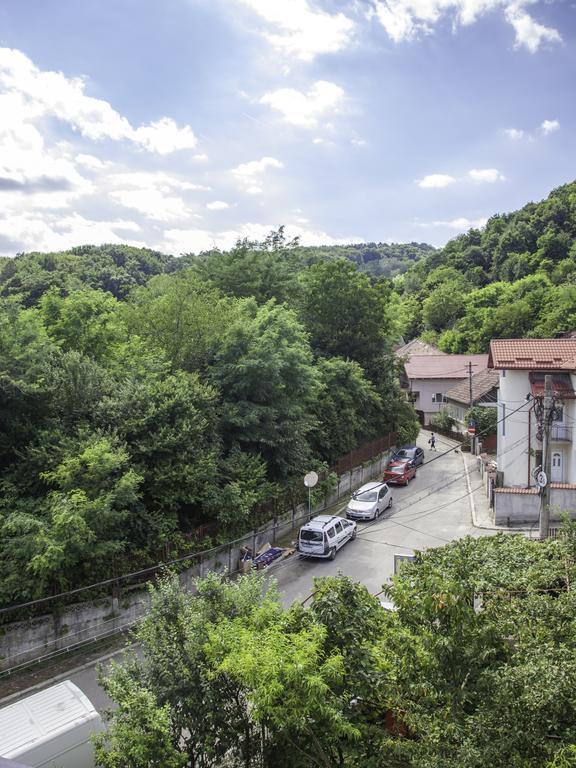 Vila Victoria Râmnicu Vâlcea Eksteriør bilde